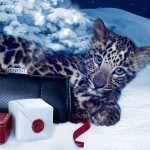 Clutch Bag de Cartier