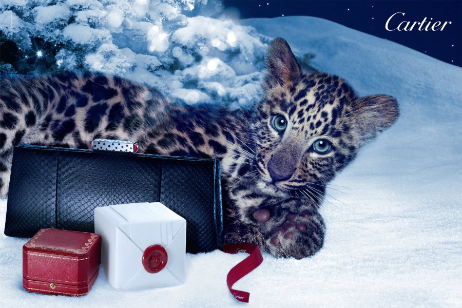 Winter Tale de Cartier revient pour Noël