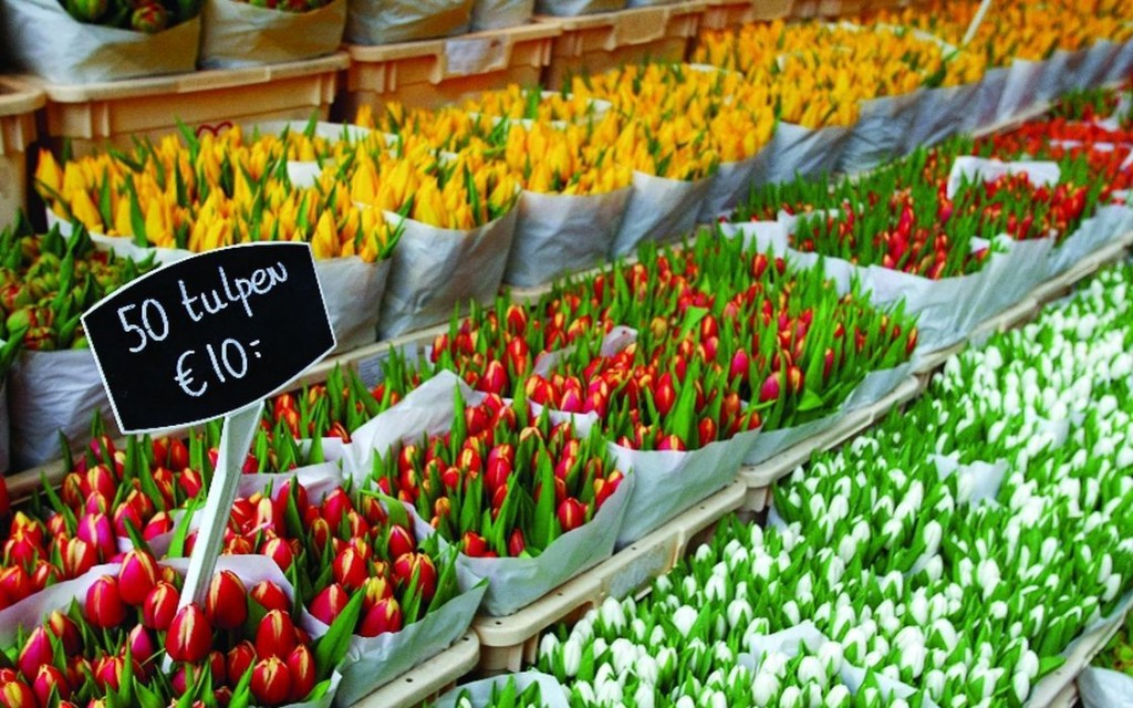 54990_fullimage_bloemenmarkt, amsterdam tulips