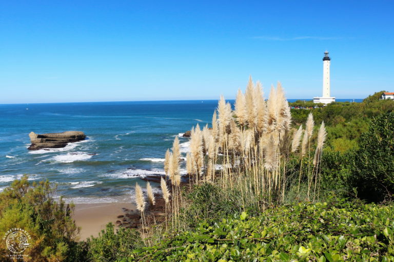 Où trouver un peu de fraîcheur cet été en France ?