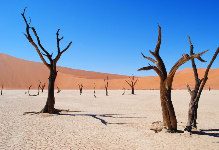 Les plus beaux déserts du monde